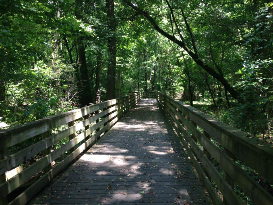 Park walking path suzanne goes on to get away from the day to day business pressure